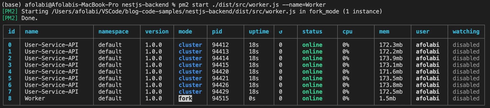 eight instances of one app running in cluster mode with an instance of worker running in fork mode
