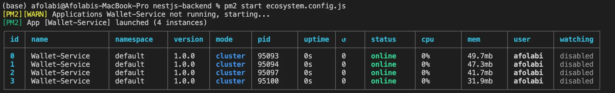four instances of one app in cluster mode started with ecosystem.config.js
